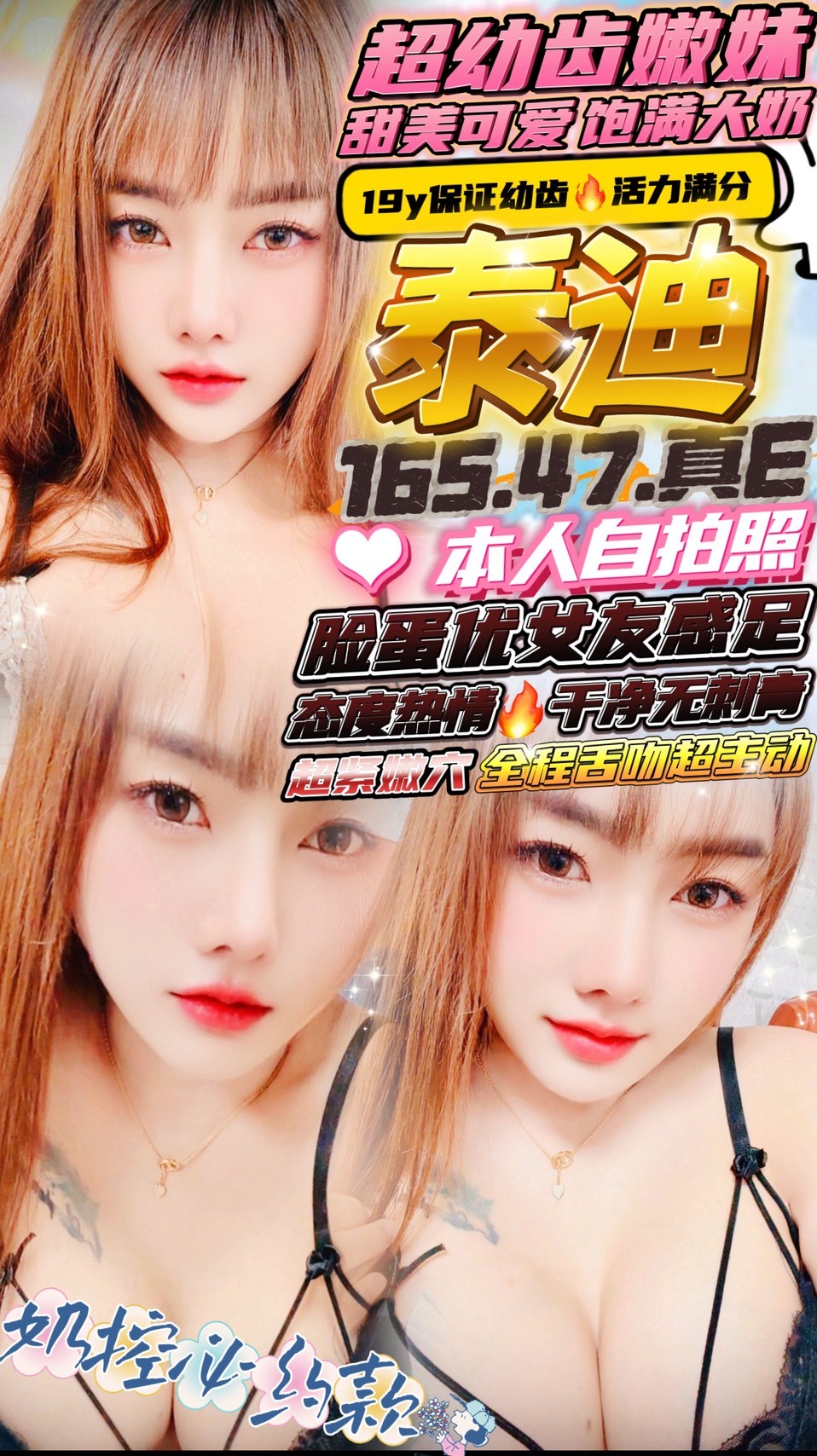 泰迪
