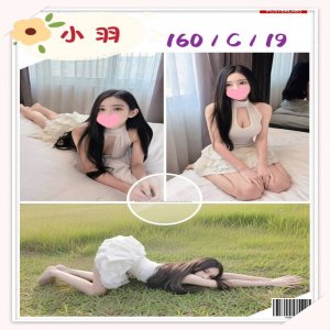 小羽