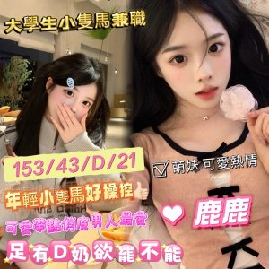 鹿鹿